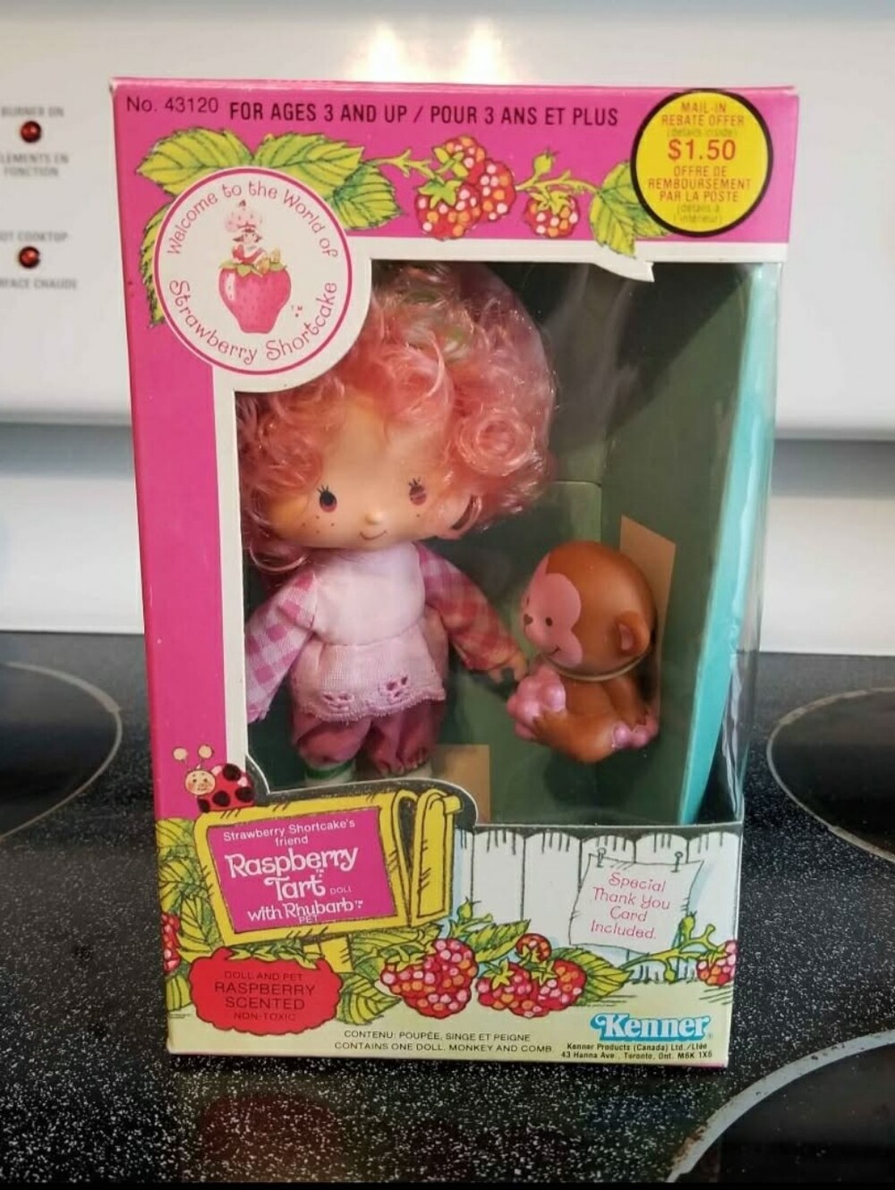 Strawberry Shortcake Raspberry Tart NIB vintage Doll